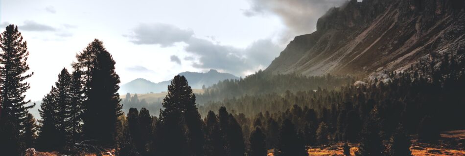 silhouette of mountain hill with pine trees under white cloud blue sky