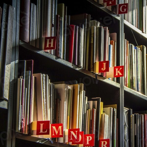 Free library shelves with many