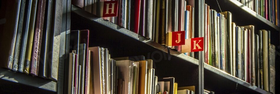 Free library shelves with many