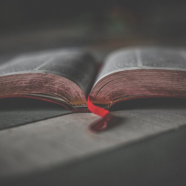 close up photo of an opened religious book
