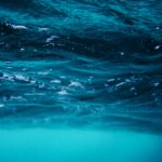 close up photo of water