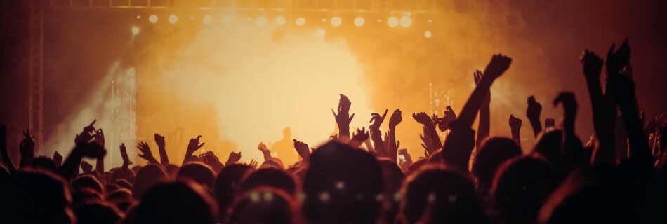 people at concert